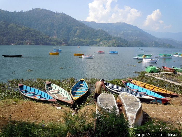 Озеро Фева Покхара, Непал