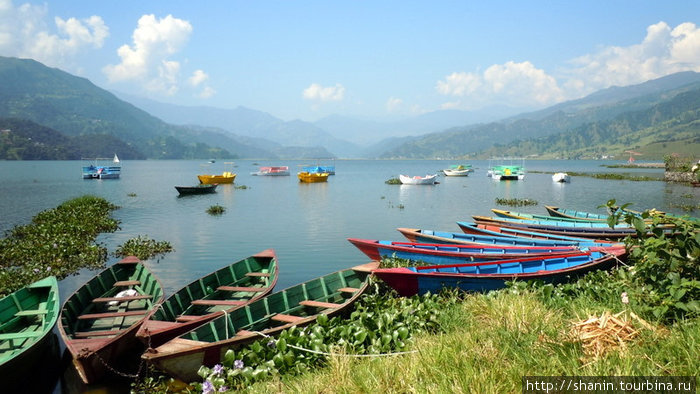 Лодки на озере Фева Покхара, Непал