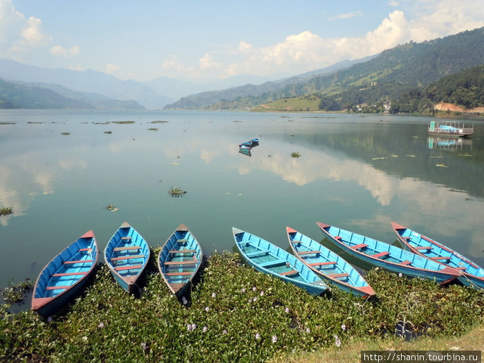 Лодки на берегу Покхара, Непал