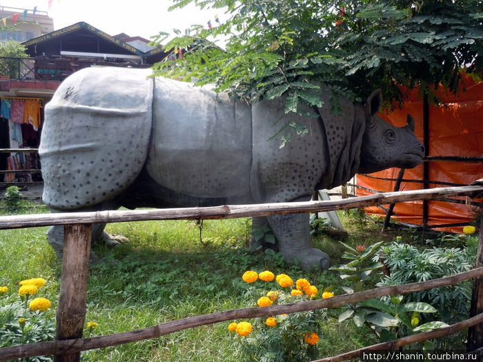 Носорог — но не настоящий Зона Нараяни, Непал