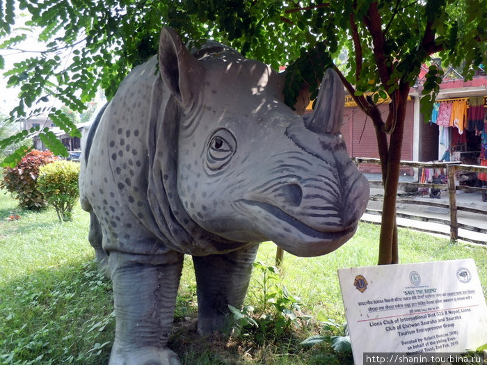 Бетонный носорог Зона Нараяни, Непал