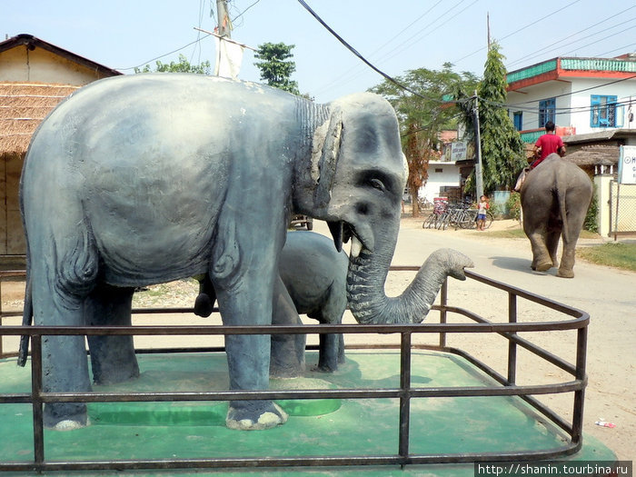 Два слона — памятник Зона Нараяни, Непал