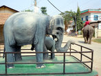 Два слона — памятник