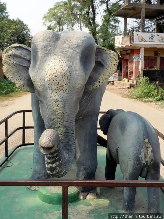 Бетонные слоны Зона Нараяни, Непал