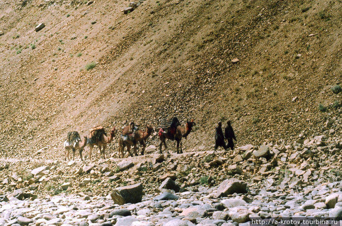 Караваны (почти последние в мире) Базарак, Афганистан