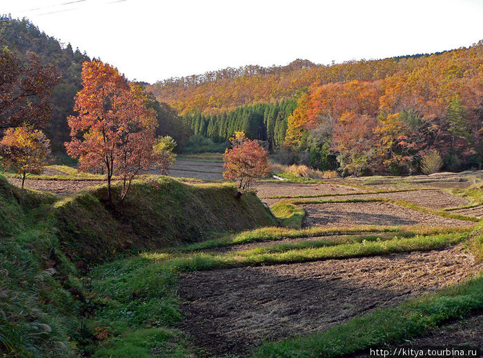 Убранные поля вокруг деревни Курокава-Онсен, Япония