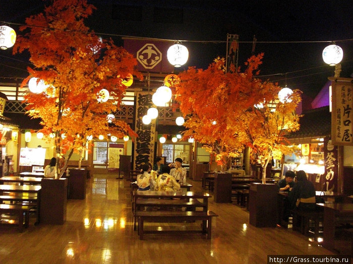 Осень 2009 г в Японии. Красные клены Япония