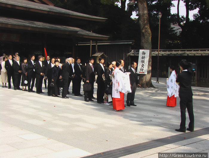 Осень 2009 г в Японии. Красные клены Япония