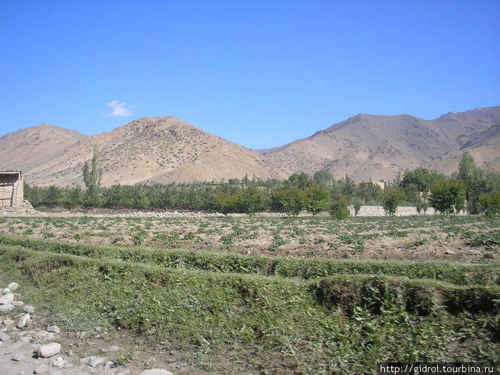 Сельхоз. огороды. Майданшахр, Афганистан