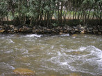 Укрепление берегов реки от размыва и затопления полей.