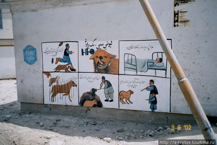 Инструкция по ликвидации бешеных собак Кабул, Афганистан