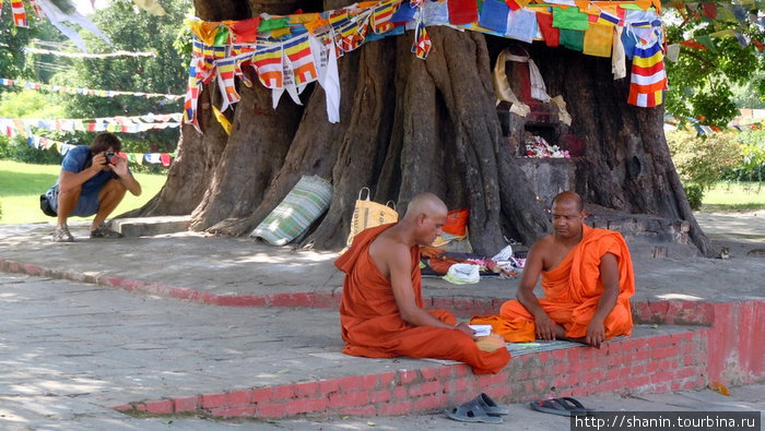 Буддистские монахи под священным деревом Лумбини, Непал