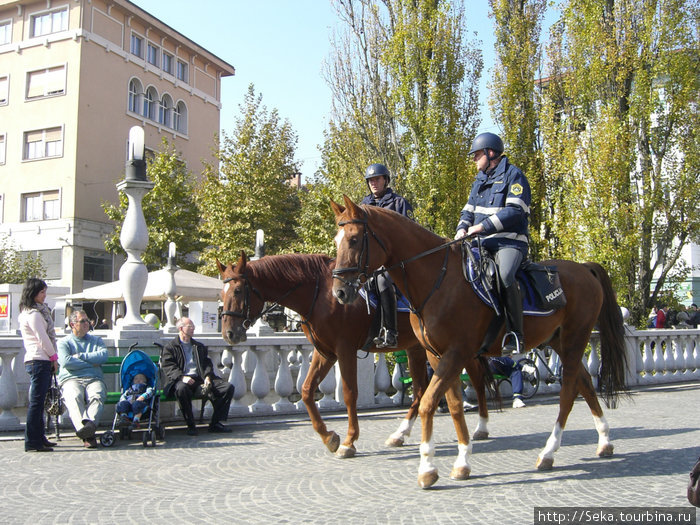 Конные стражи Любляна, Словения