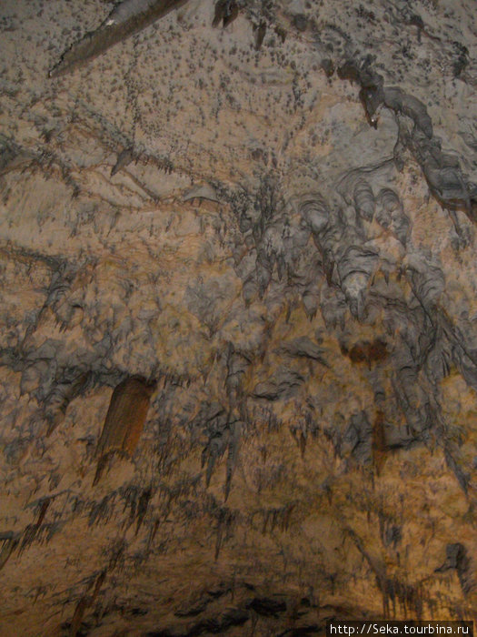 Пещера Постойна Яма Постойна, Словения