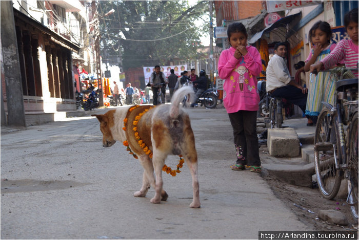 Дивали, новый год по неварски грядет... Непал