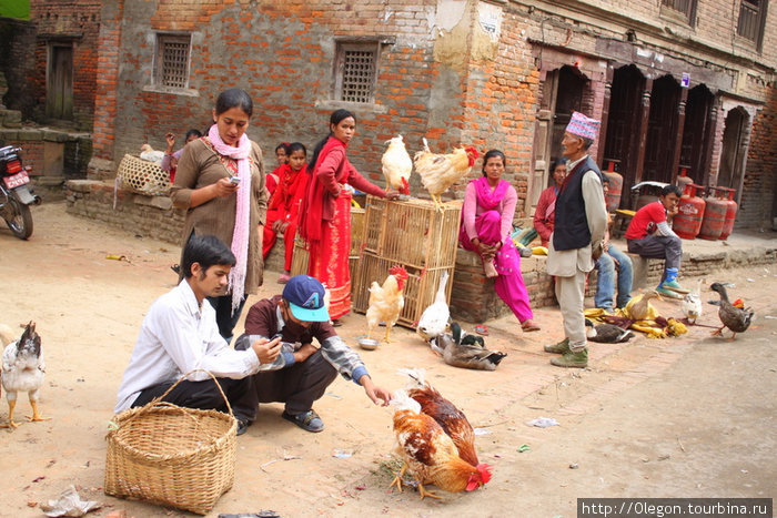 Подходи народ, свой огород Катманду, Непал