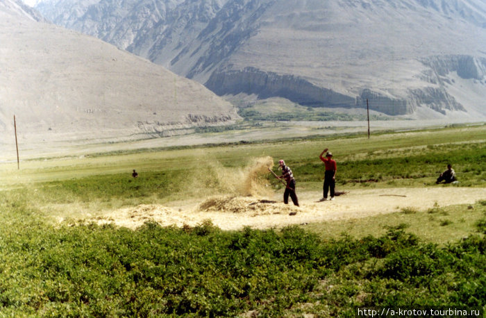 Обмолот зерна Ваханская долина, Таджикистан