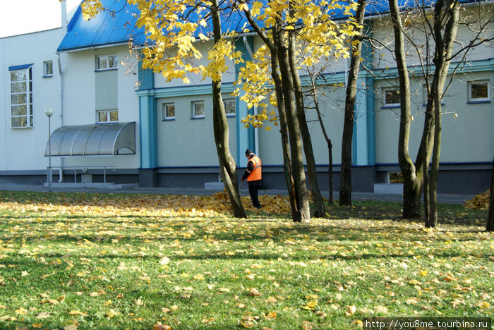 дворники собирают листья в кучки Брест, Беларусь