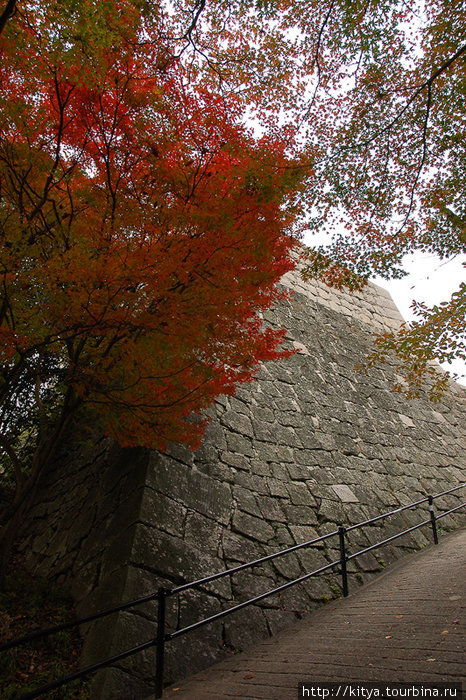 Листья. Камни. Замок Магурамэ. Маругаме, Япония