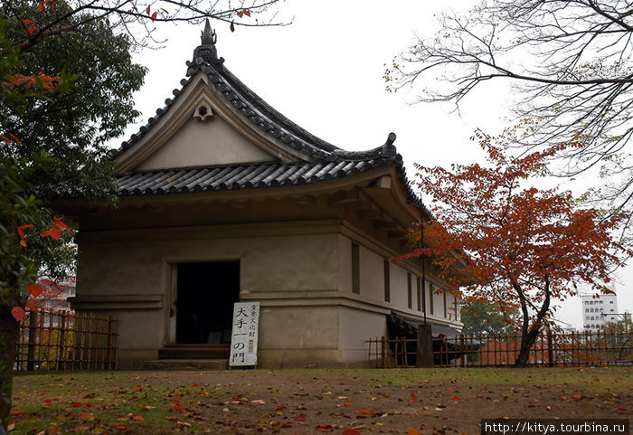 Листья. Камни. Замок Магурамэ. Маругаме, Япония