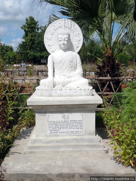 Белый Будда Лумбини, Непал