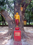 Будда под деревом