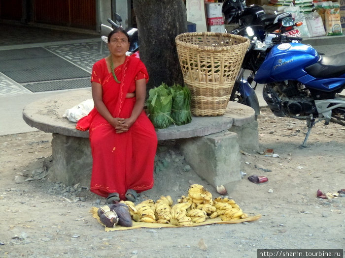 Бананы на продажу Лумбини, Непал