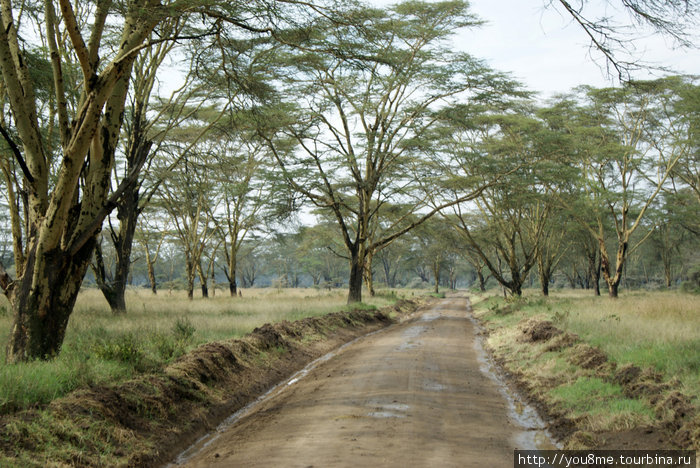 Lake Nakuru Национальный Парк - парк Накуру, Кения