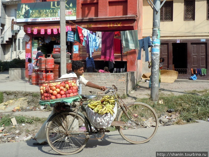 Велосипедист с бананами Катманду, Непал