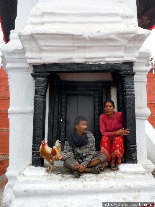 Нашли удобное место Катманду, Непал