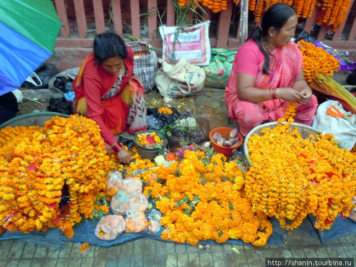 Торговки цветочными гирляндами Катманду, Непал