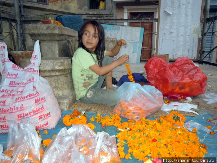 Девочка в храме Катманду, Непал
