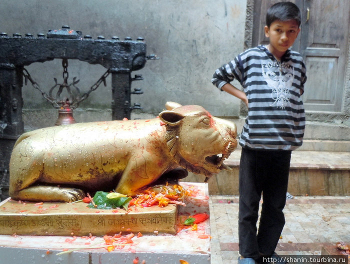 Мальчик у бронзового льва Катманду, Непал