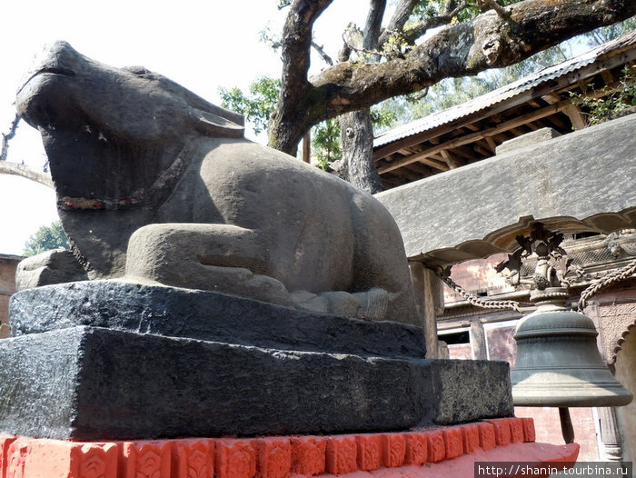 Каменная священная корова Катманду, Непал