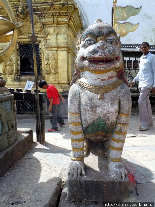 Лев Катманду, Непал