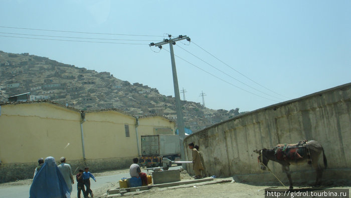 Местный транспорт(ишачёк) припаркован. Кабул, Афганистан
