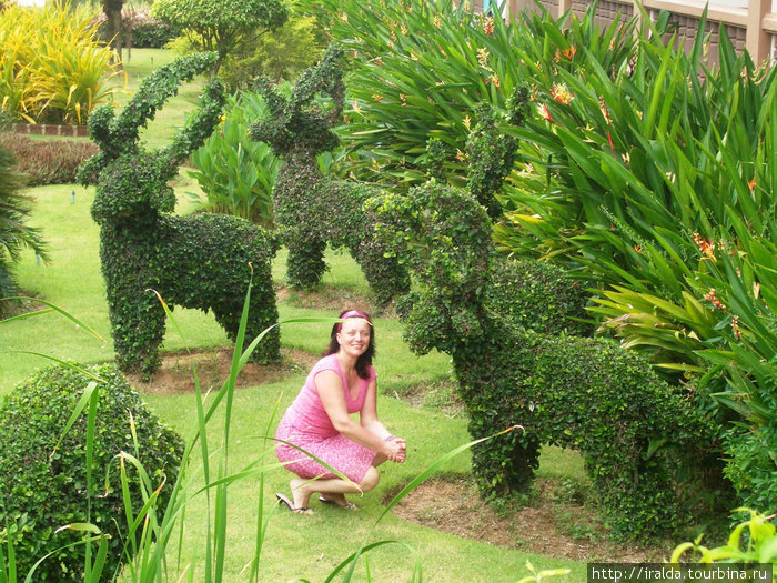 Гостиница «Botany Beach поажает множеством пальм и декоративно выстриженных под животных деревьями. Таиланд