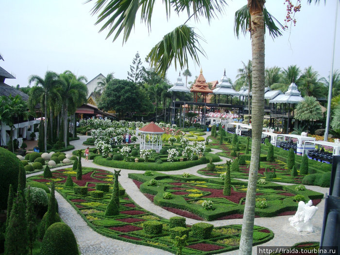 Парк орхидей Нонг Нуч. Таиланд