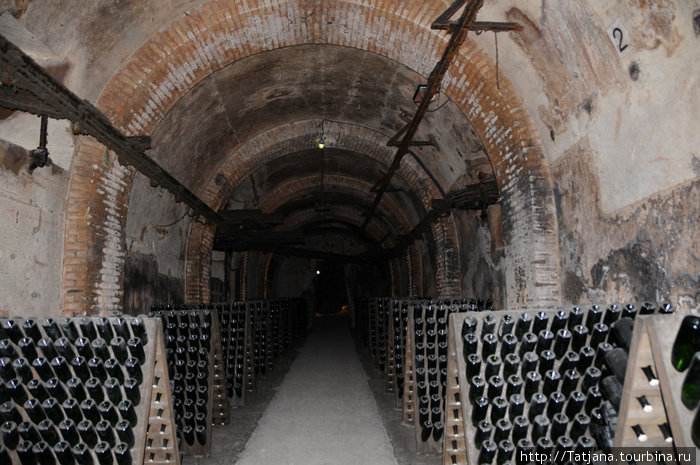 подвал  и  бутылочки Реймс, Франция