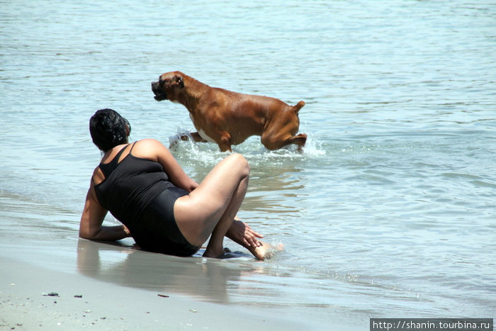 На берегу с собакой Пампатар, Венесуэла
