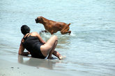 На берегу с собакой
