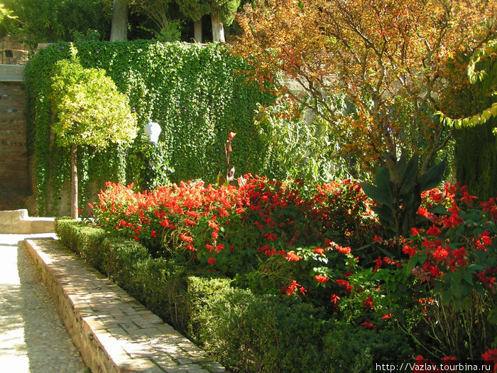 Цвета осени Гранада, Испания
