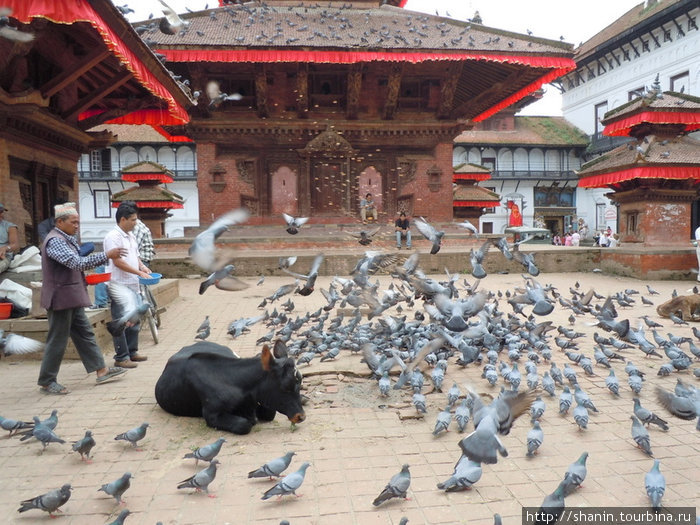Площадь Дурбар Катманду, Непал