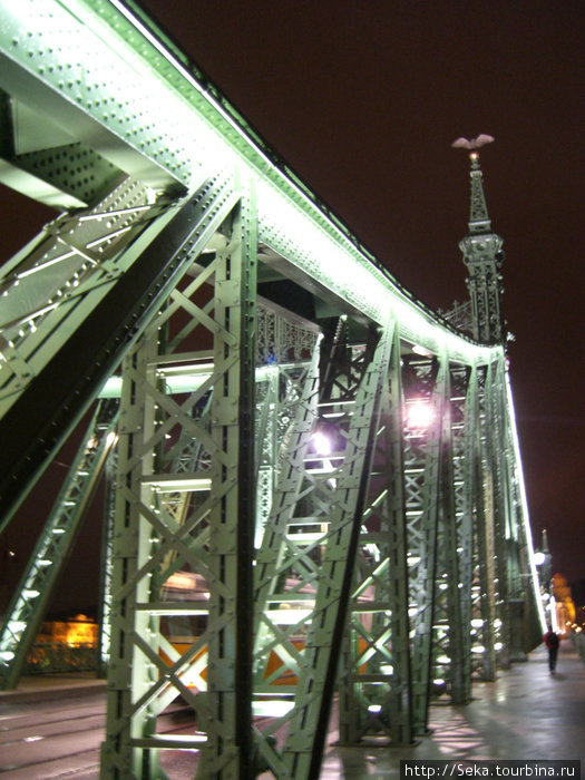 На мосту Свободы Будапешт, Венгрия