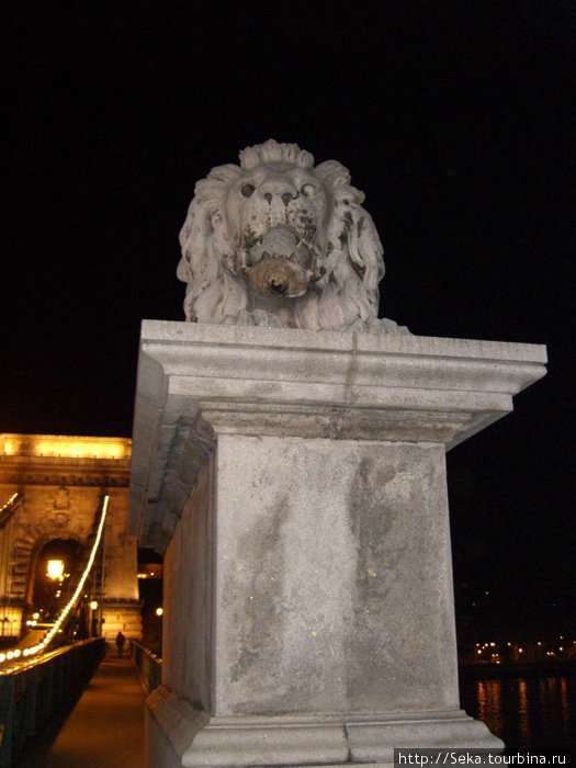 Один из львов Цепного моста Будапешт, Венгрия