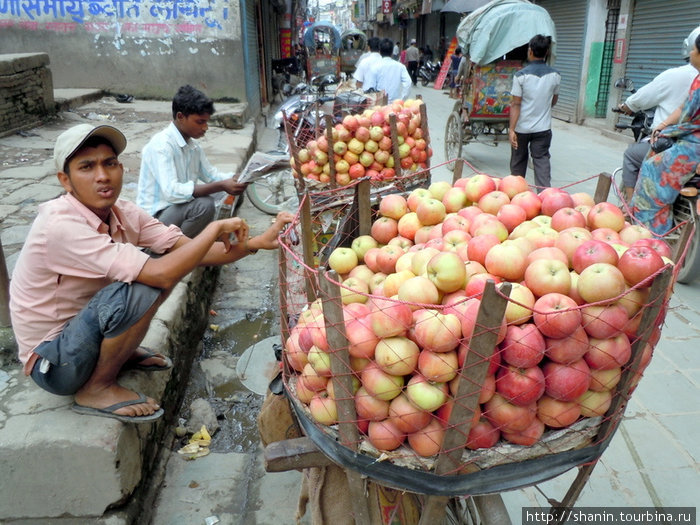 Продавцы яблок Катманду, Непал