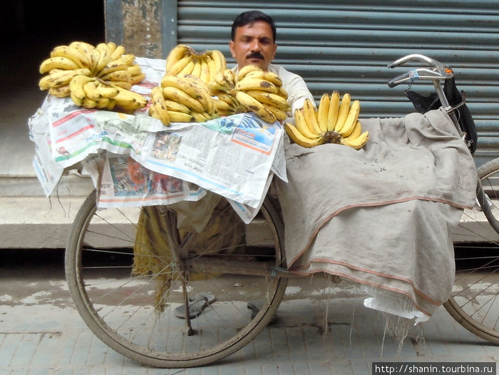 Продавец бананов Катманду, Непал