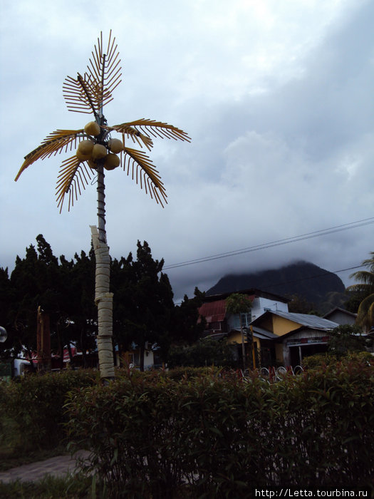 Искусственная пальма Энде, остров Флорес, Индонезия