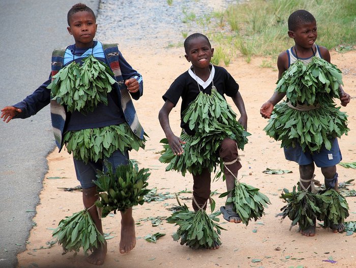Это первая фотография, сделанная в Свазиленде. Дети на обочине танцуют, выпрашивая мелочь у водителей. Свазиленд