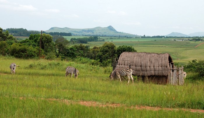 Каникулы в Свазиленде (часть 1 — королевство) Свазиленд